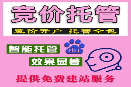 案例分享：SEM运营助力电商快速增长